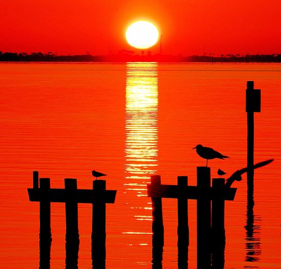 Silhouette wooden posts in lake against orange sky