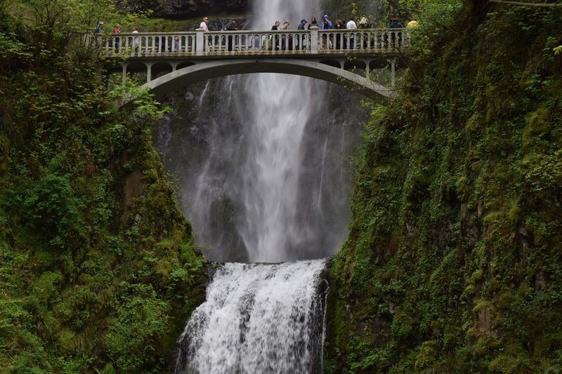 Scenic view of waterfall against trees