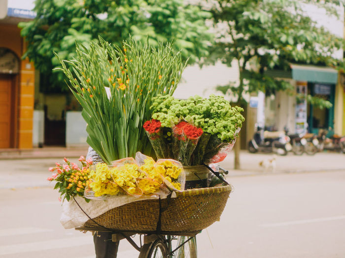 Yellow flowers in basket