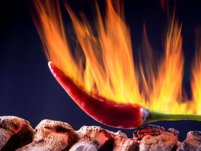 A ripe, hot fruit of a chili plant seems to burn. the background is black.