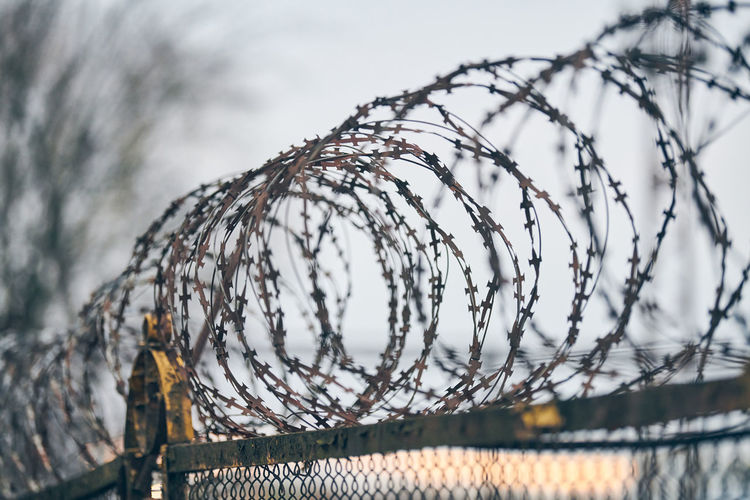 Barbed wire on fence of restricted area. no unauthorized entry. old fence of military border