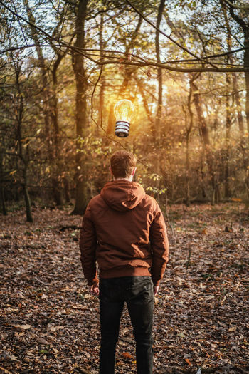 Rear view of man standing in forest