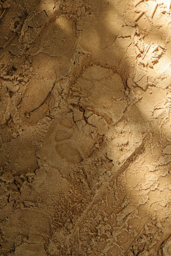 Close-up of cracked surface