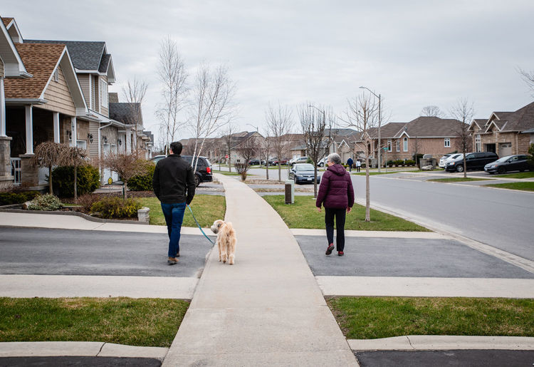 Man and older lady walking dog on sidewalk of suburban neighbourhood.