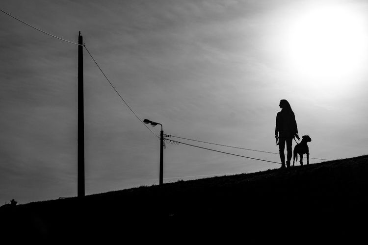 Silhouette of man riding dog on street