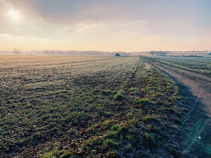 Scenic view of field against sky during sunset