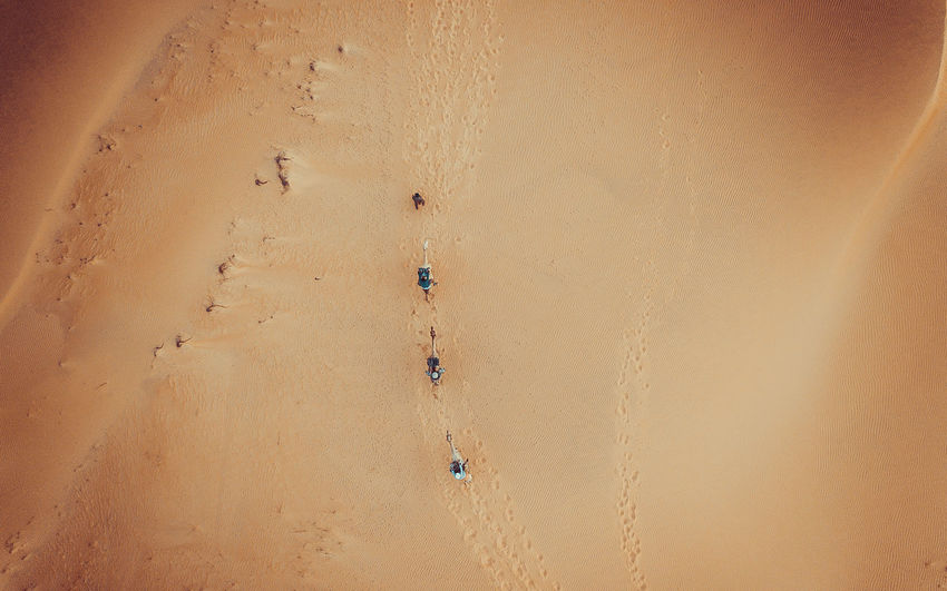 Aerial view of camels on sand in desert
