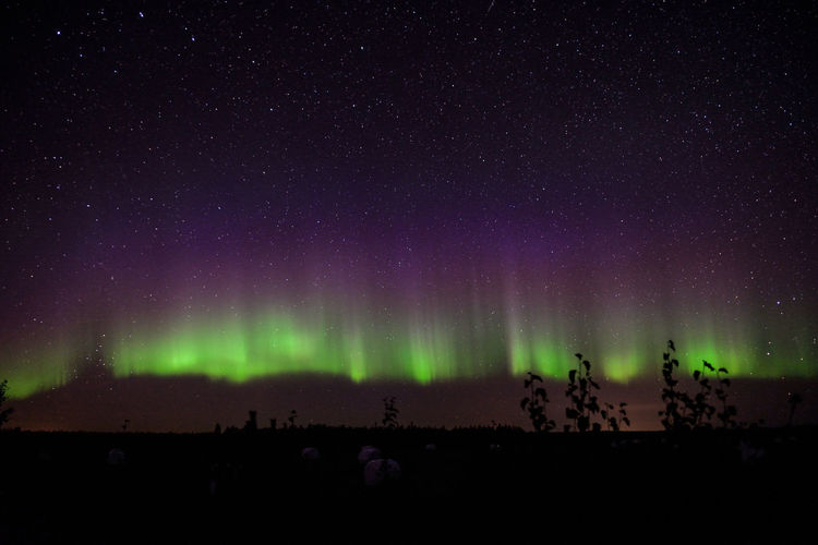 Silhouette landscape against star field at night