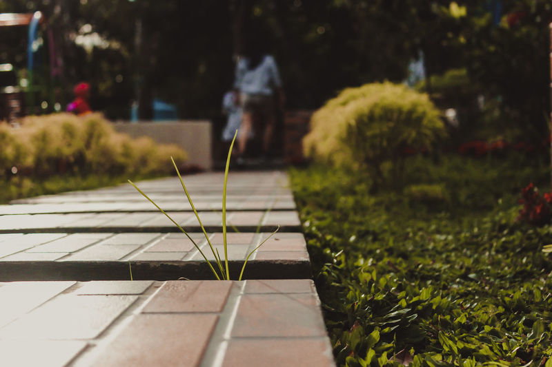Person on footpath in park