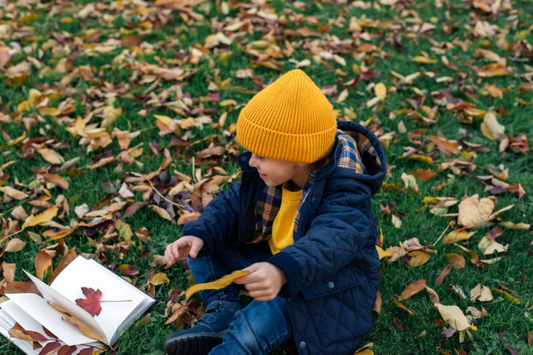 A little boy collects autumn leaves in a notebook.