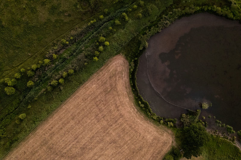 High angle view of agricultural field