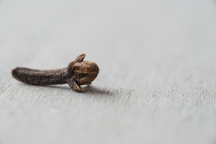 Close-up of clove on table