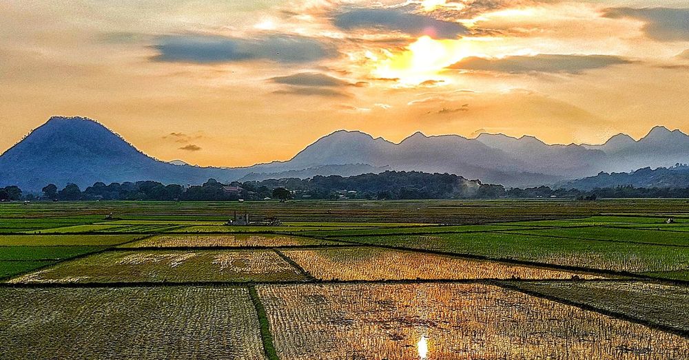 Scenic view of field against sky at sunset