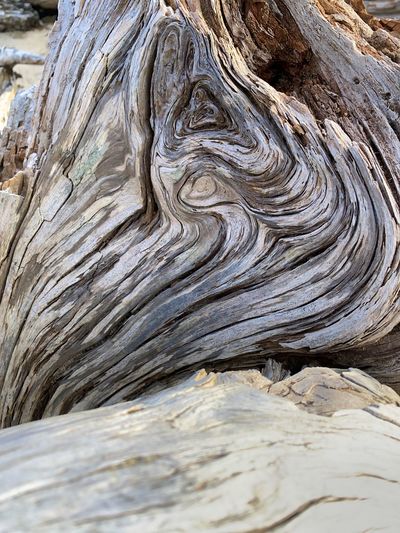 wood