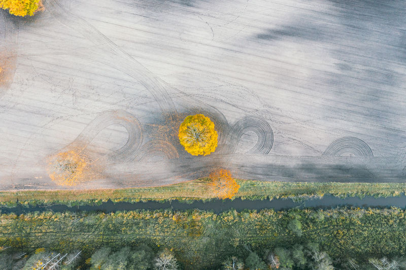 Autumn abstract landscape. field, trees, tractor wheel tracks, watering hole for animals