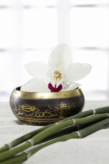 Singing bowl, ayurveda, orchid in the sand