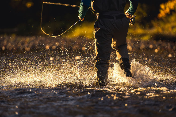 Fly-fisherman wading through river in late evening light