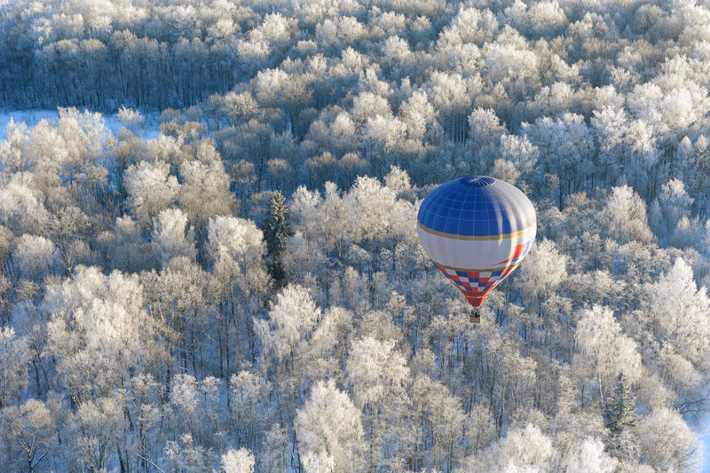 Hot air balloon flying over trees against sky