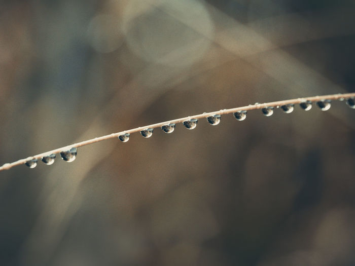 Close-up of water drops on metal