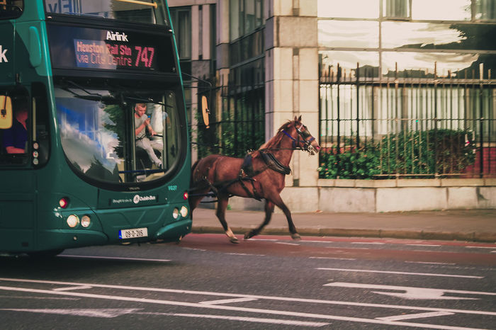 HORSE CART ON STREET