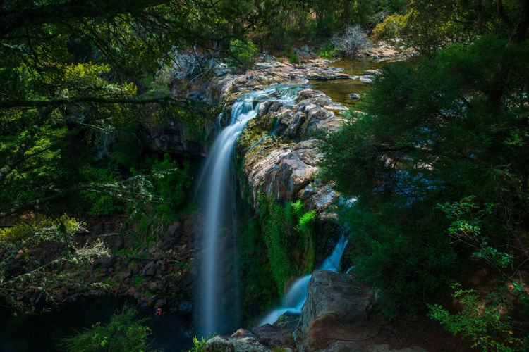 Scenic view of waterfall in forest