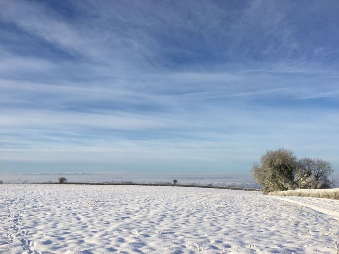 Scenic view of snowy field against sky