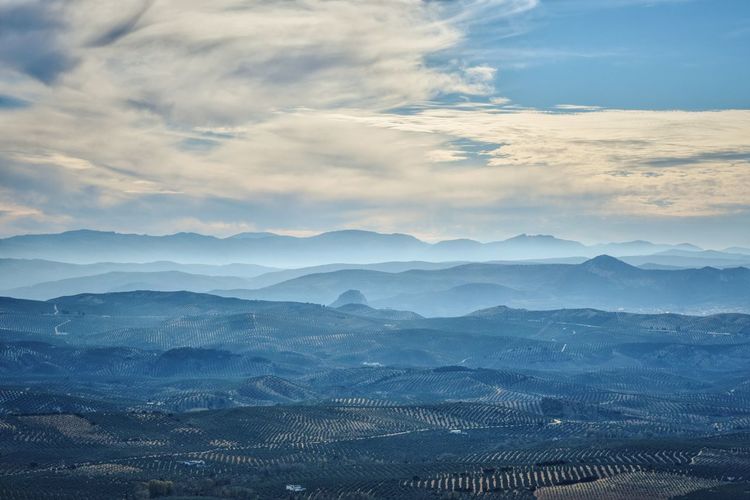 Scenic view of landscape against sky