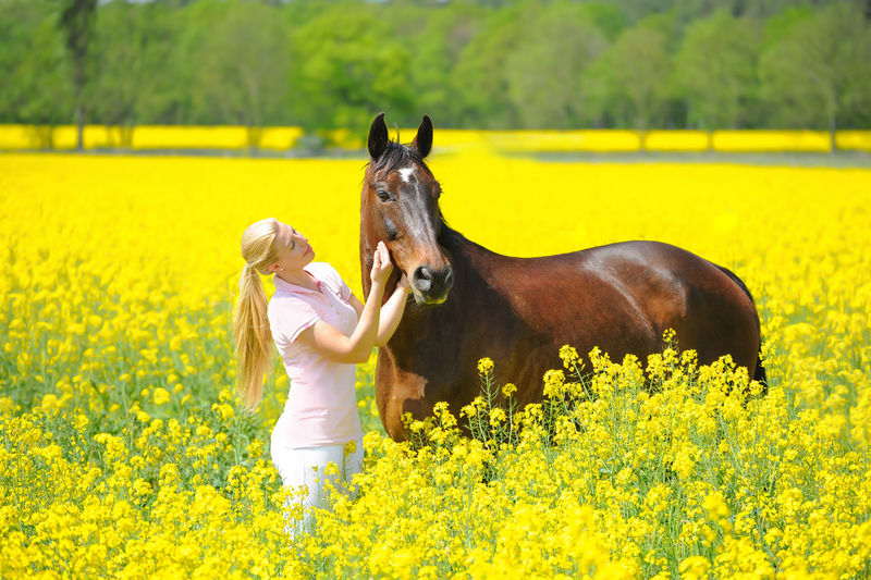 Young woman stroking horse while standing at reap field