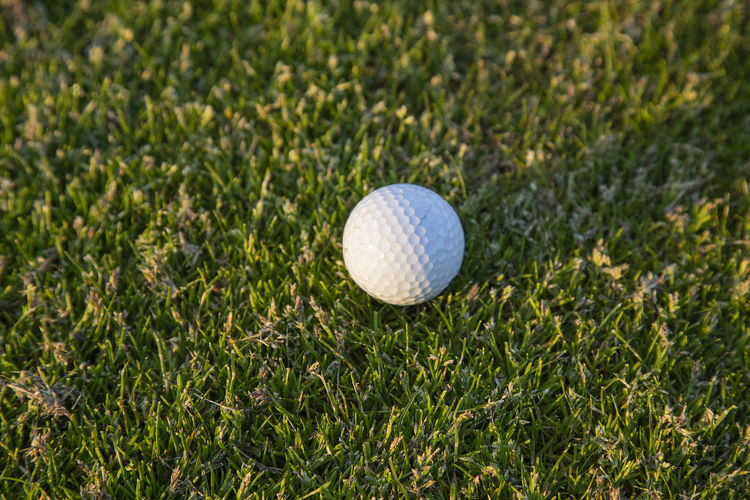 Close-up of ball on grassland