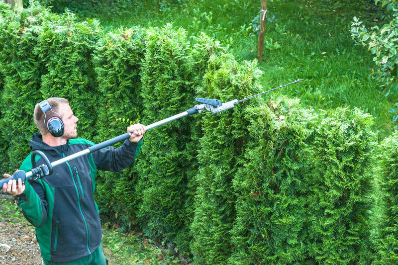 Man cutting plants with electric trimmer