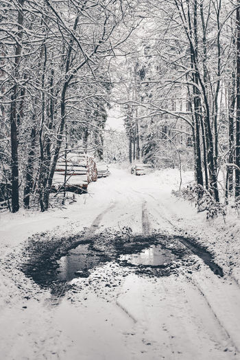 Snow covered road amidst bare trees during winter