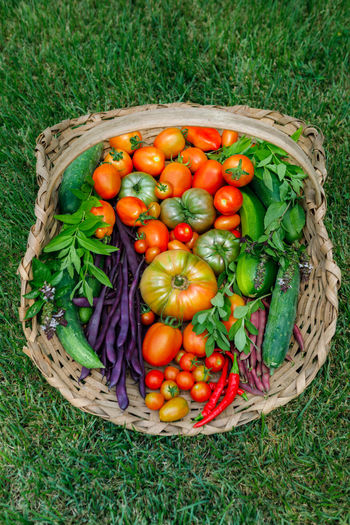 High angle view of tomatoes in basket