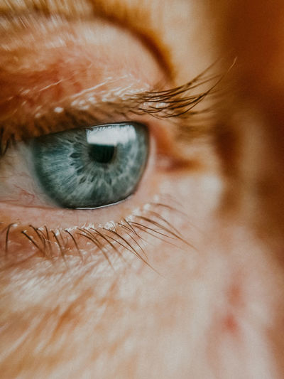 Close-up of human eye