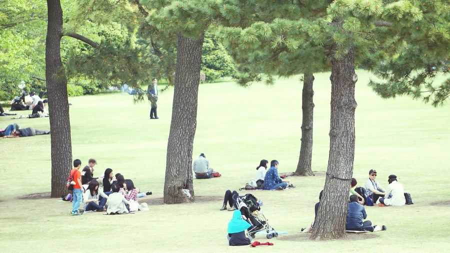 People relaxing in park