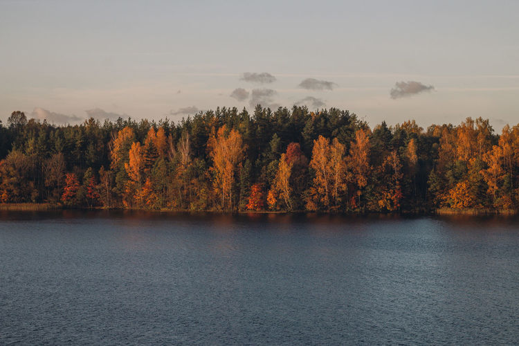 Scenic view of lake in forest during autumn against sky