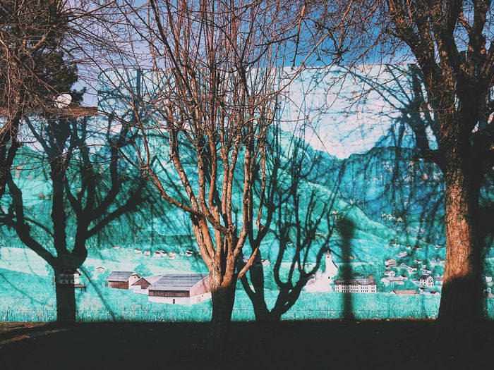 Scenic view of trees against sky