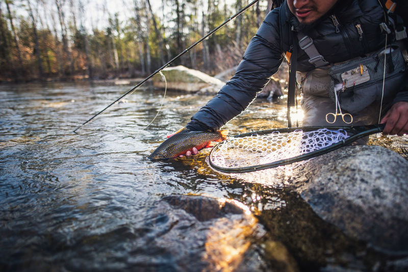 A man releases a large brook trout on a river in maine