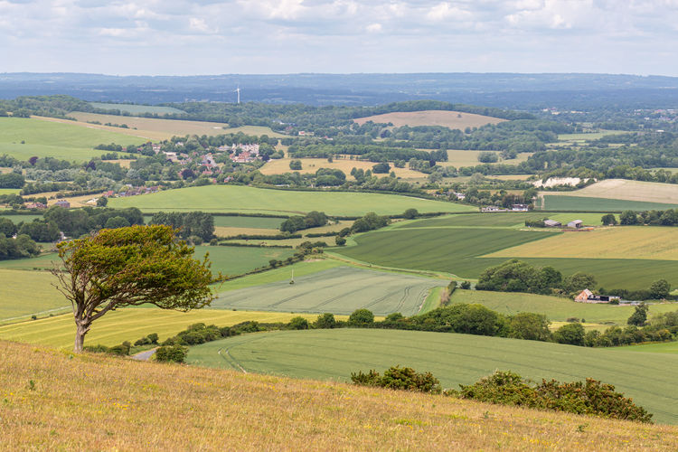 Looking out over a south downs landscape from firle beacon in sussex