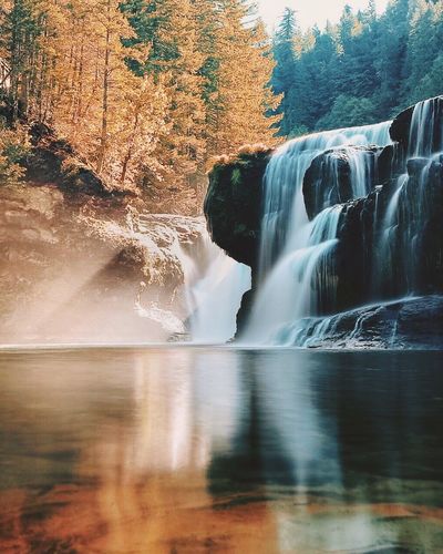 Scenic view of lewis river falls against trees at forest