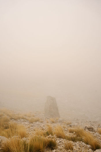 Scenic view rock against fog