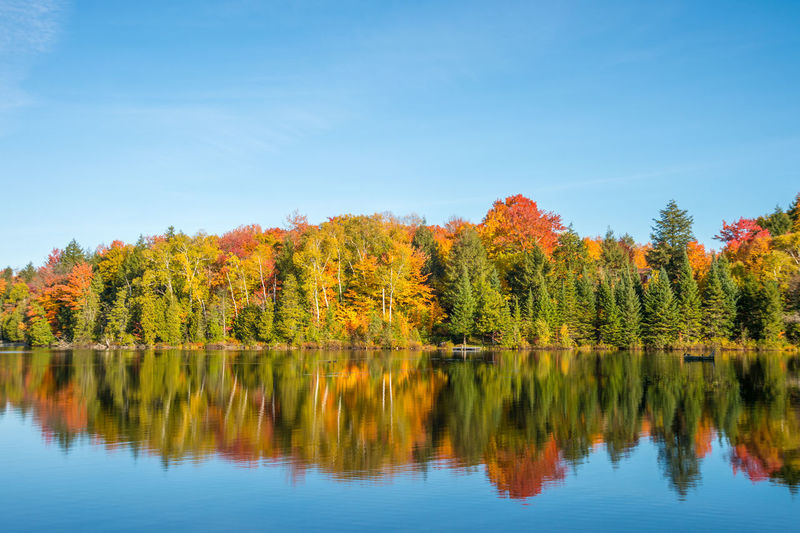 Scenic view of lake by trees during autumn against sky