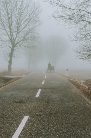 Empty road amidst trees against sky