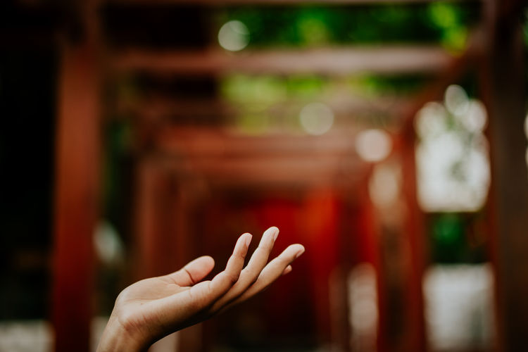 Close-up of human hand on blurred background