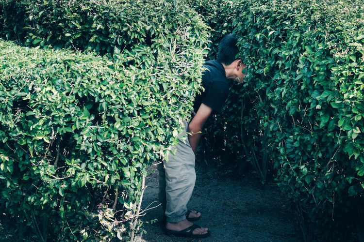 Side view of a boy looking for something in the bush