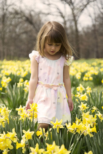 Girl standing amidst daffodils on field