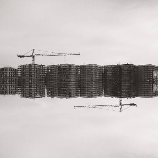 Birds in city against sky