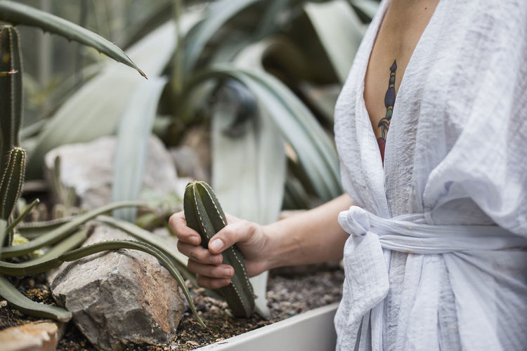 Midsection of woman holding cactus