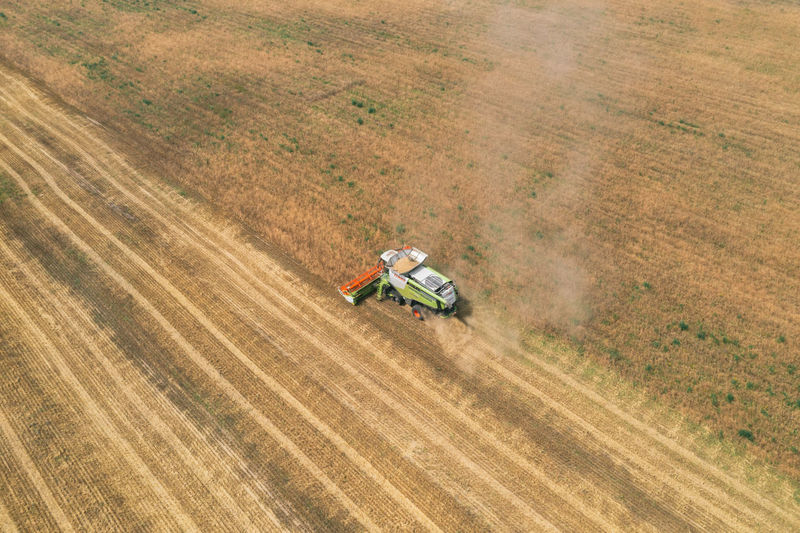 Combine claas . seasonal harvesting of grain crops. combine harvester in the field.