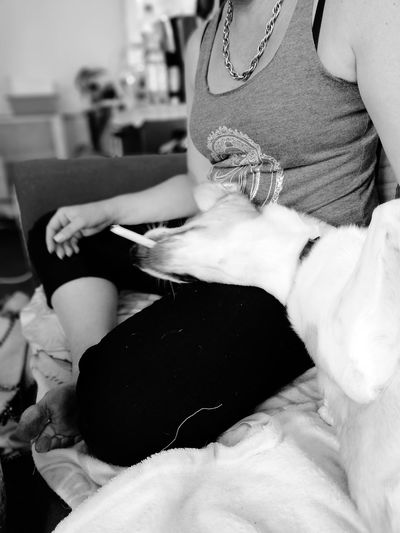 Midsection of woman with dog