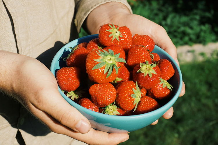 Midsection of person holding fruits in bowl